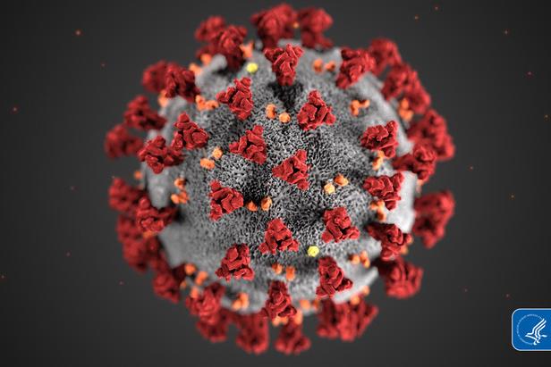 Coronavirus