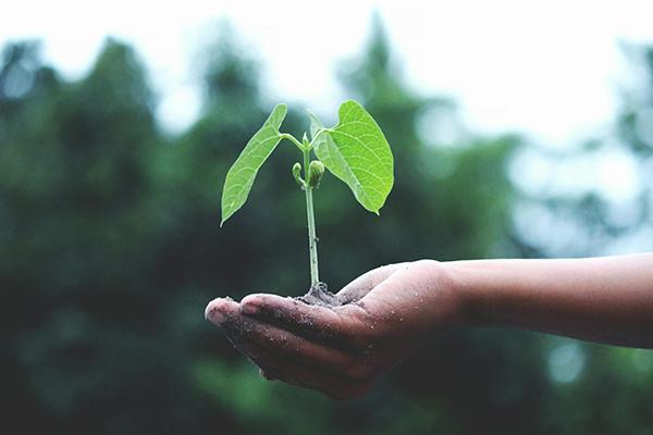Penn State is offering two new graduate certificates in its energy and sustainability portfolio that can help professionals seeking to play a role in the global shift towards sustainable energy solutions.