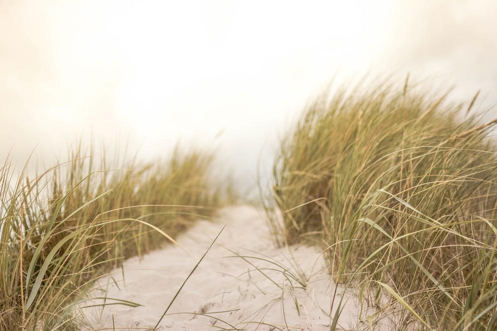 The Rock Ethics Institute and the Center for Climate Risk Management host a seminar series