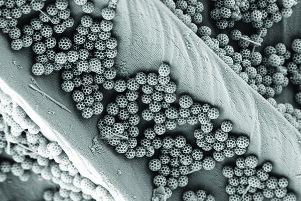 The 17th annual Materials Visualization Competition "Best of Show" award went to “Nano soccer balls from nature” by Jinsol Choi, postdoctoral scholar in mechanical engineering